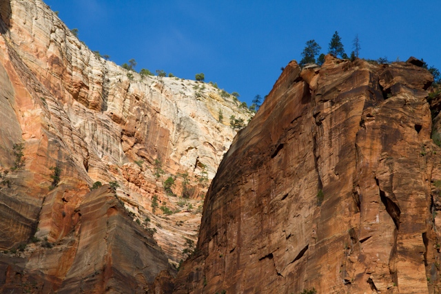 zion-04