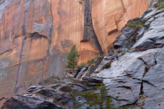 zion-11