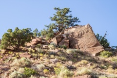 7D-0834 7D-0834