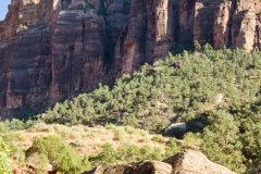 7D-0837 7D-0837