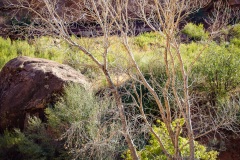 7D-0840 7D-0840