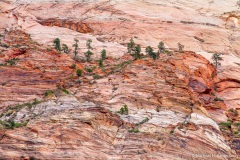 7D-0866 7D-0866