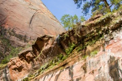 7D-0904 7D-0904