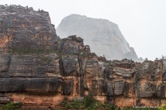 7D-0987 7D-0987