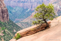 7D-3253 7D-3253