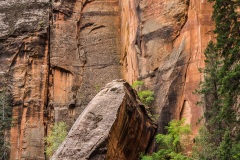 ZionCliffs1-042512-3040a ZionCliffs1-042512-3040a
