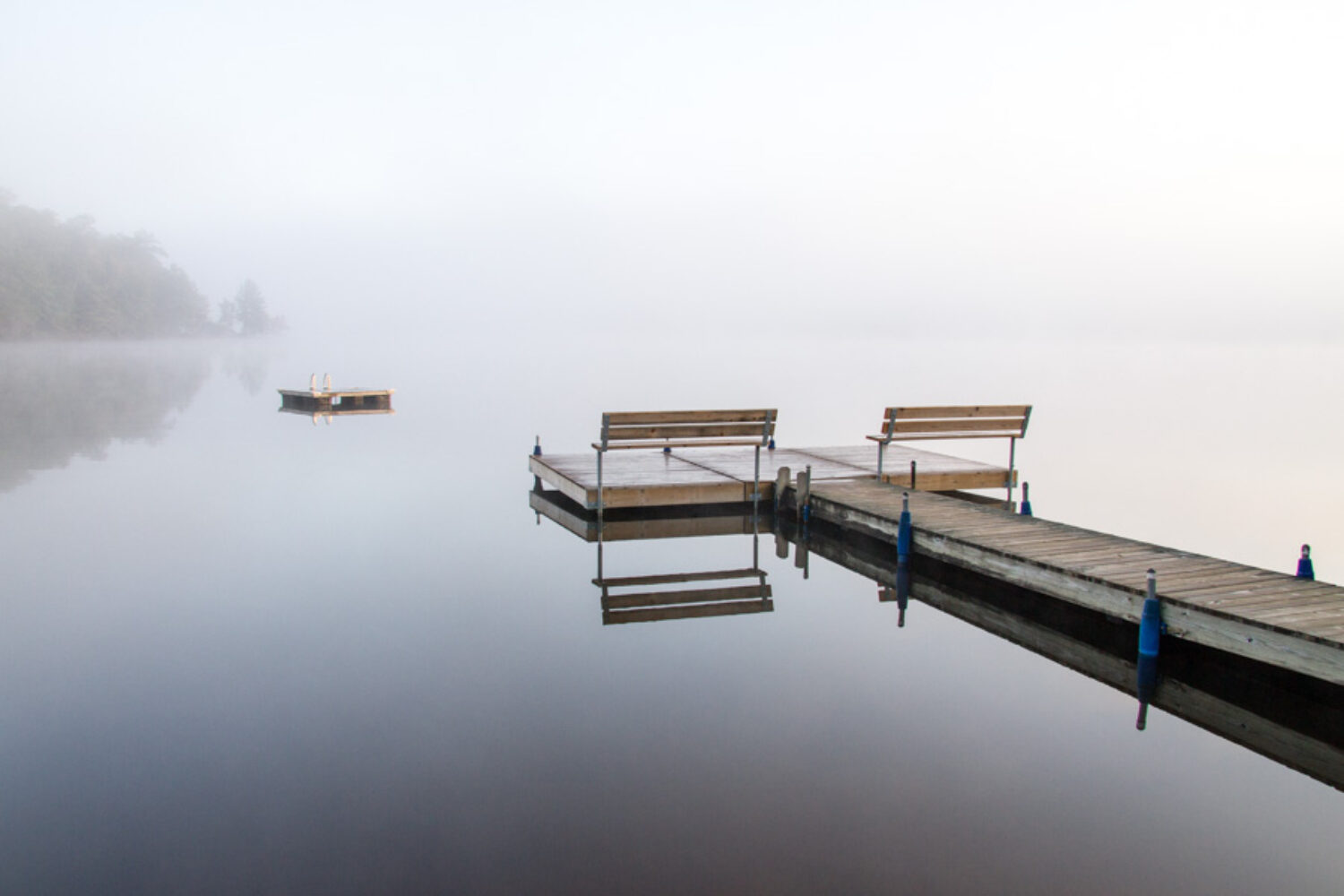 Fall Fog