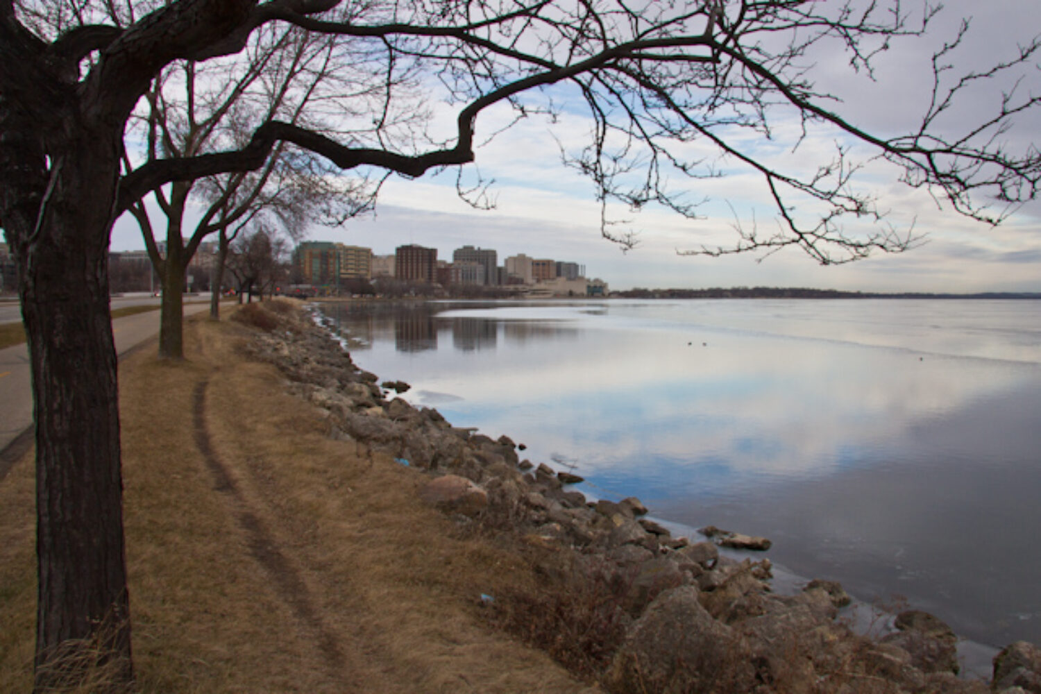 A winter walk