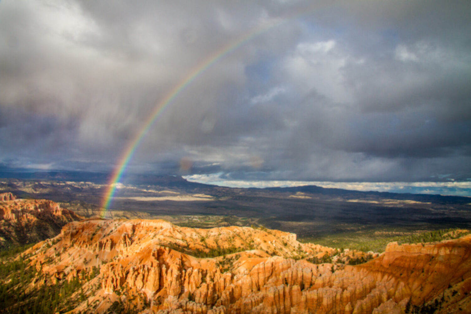 The Rainbow Connection
