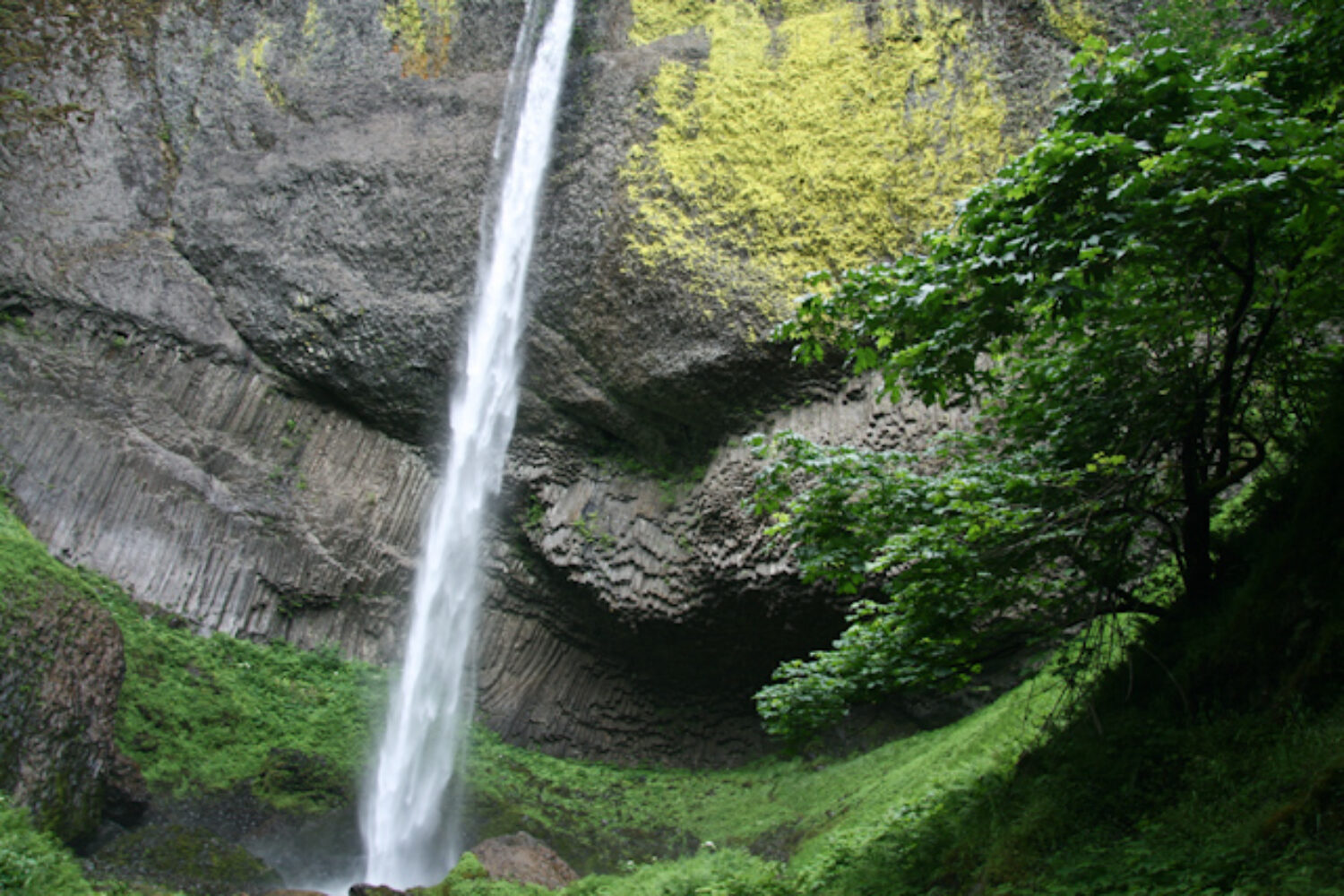 Gorge-ous Waterfalls