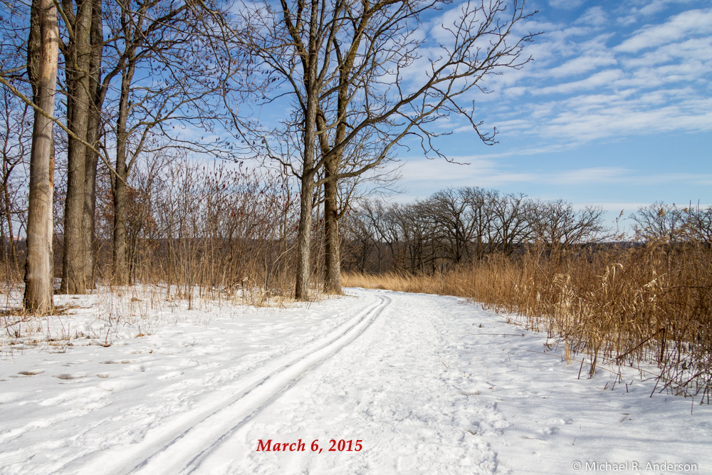 Winter scene in Owen Conservation Park