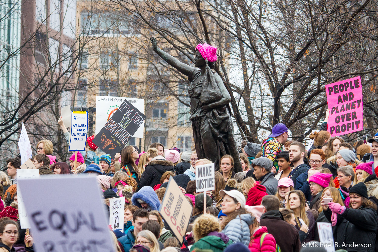 Women's March on Madison anderson viewpoint photography