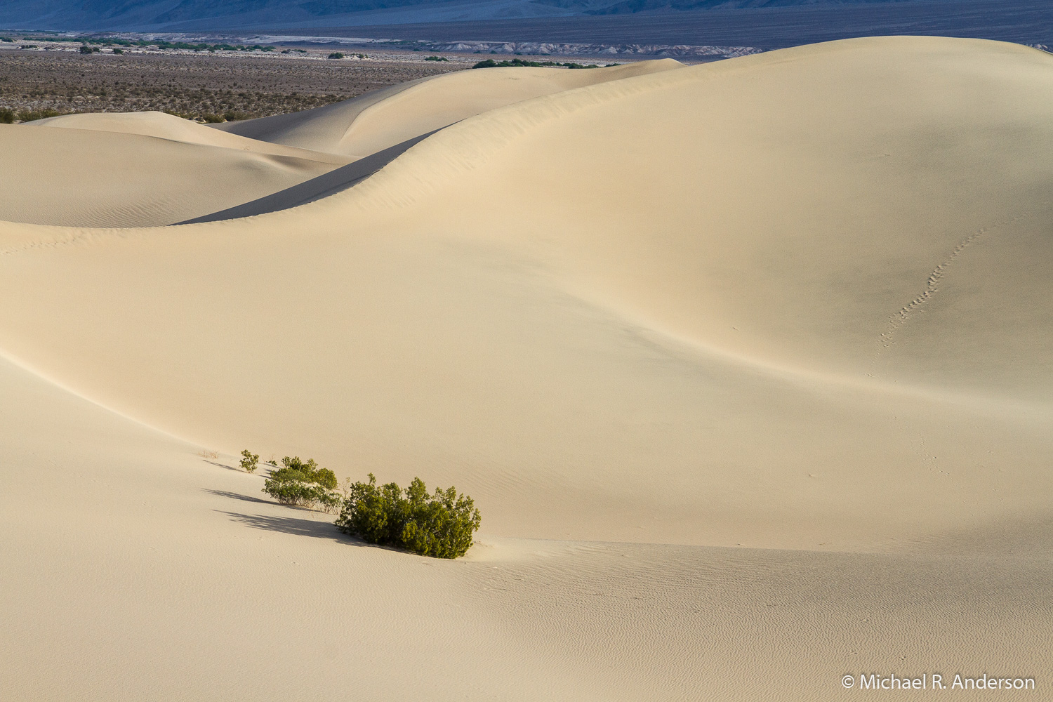 Death Valley:  On foot