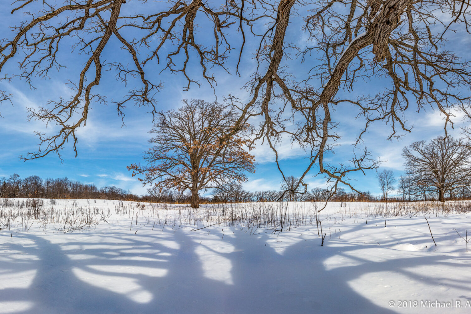 Winter shadows