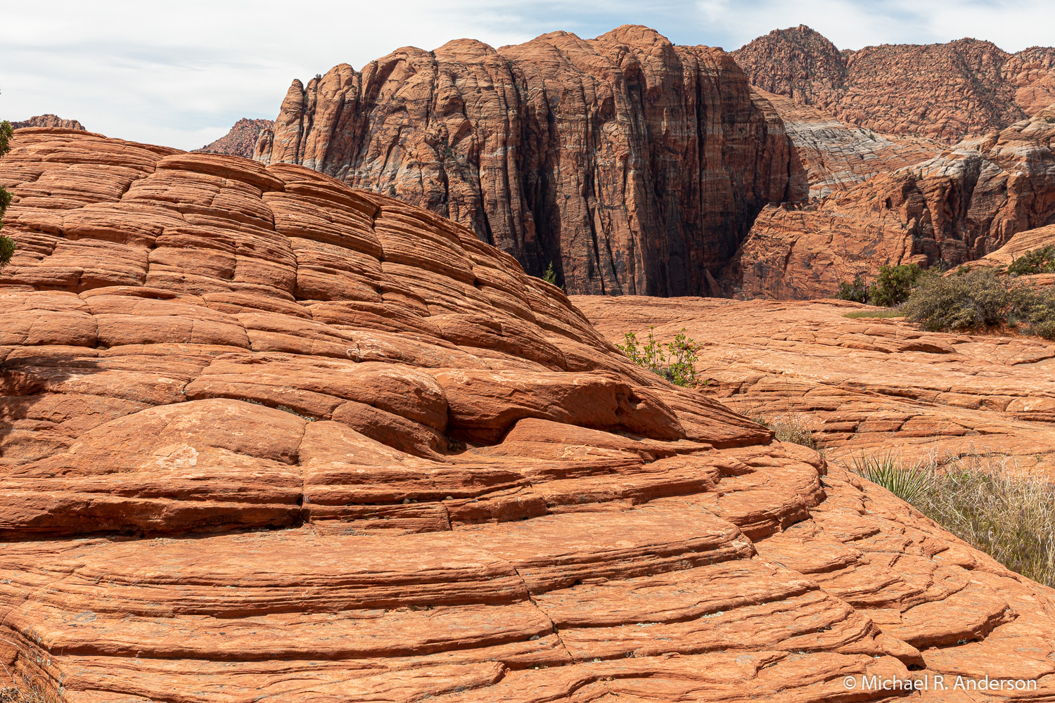 Don’t forget state parks