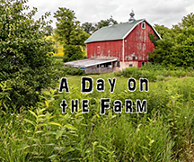 cover_a_day_on_the_farm