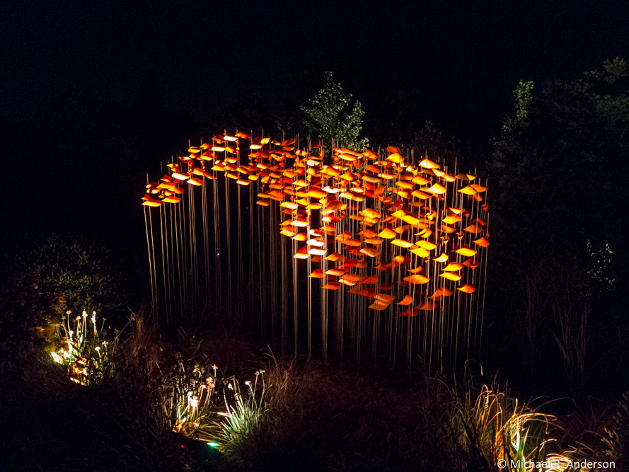 lighted artwork in olbrich park