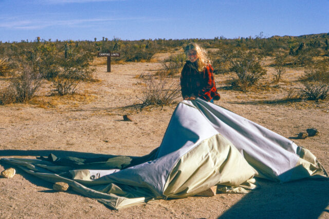 Christmas 1973 in Joshua Tree National Monument