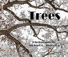 Cover-Trees