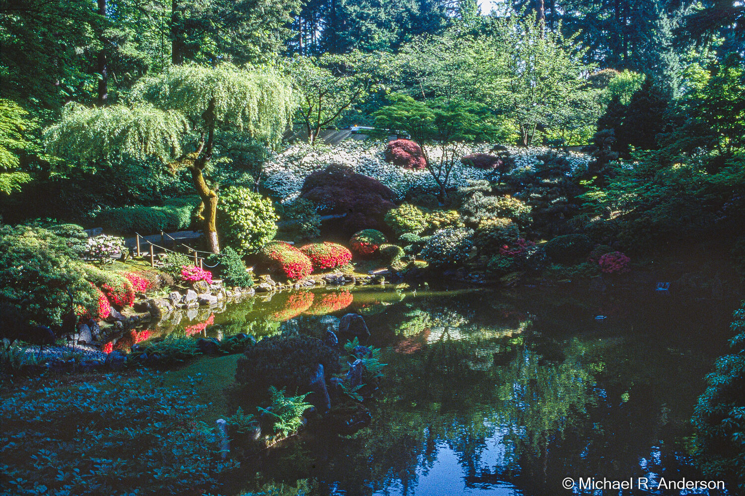 Japanese Garden