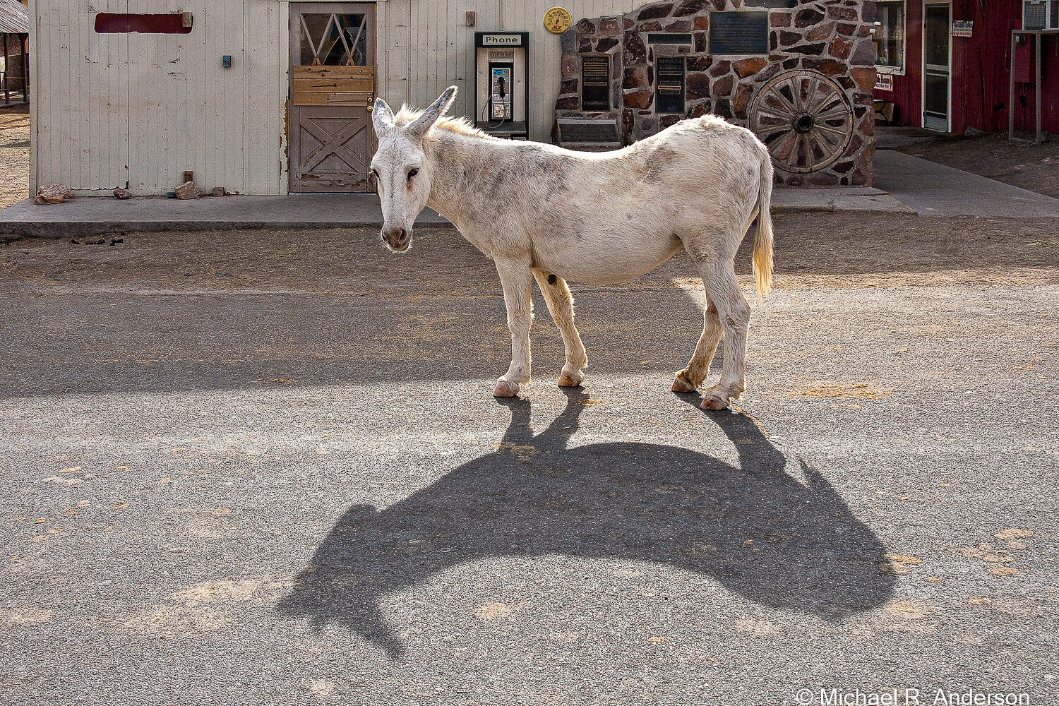 Route 66: Oatman AZ