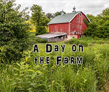 A Day on the Farm